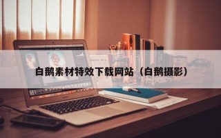 临清白鹅素材特效下载网站（白鹅摄影）