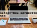 临清风华之路素材下载网站（风华之路素材下载网站免费）